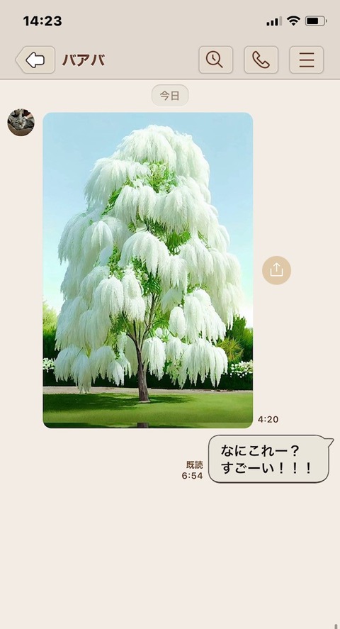 thumbnail_IMG_0251