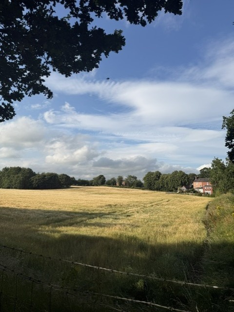 field