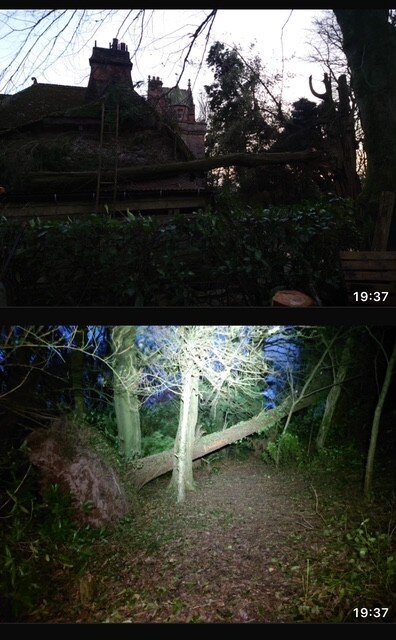 木こり３