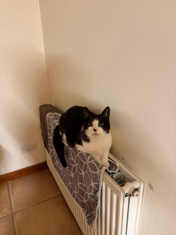 5f888e8f-3dc9-43fa-b5fe-0da7f8f3d2e4