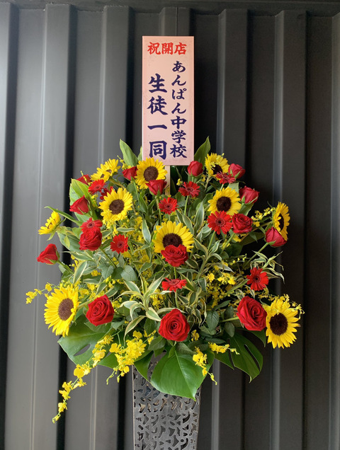 C4503258-0684-4A87-84FB-ED32C66F1878