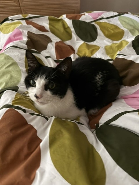 ちっこ３