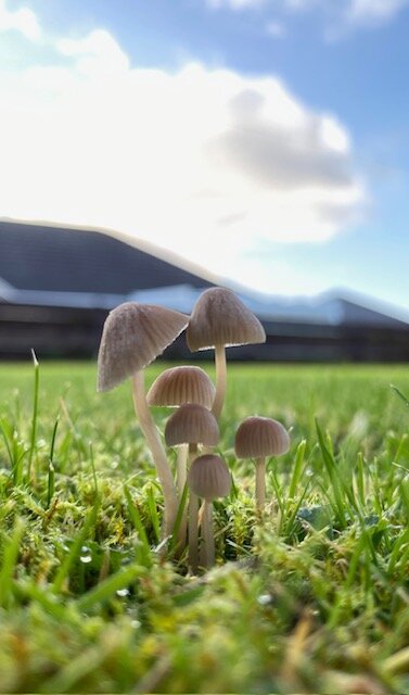 thumbnail_IMG_0887