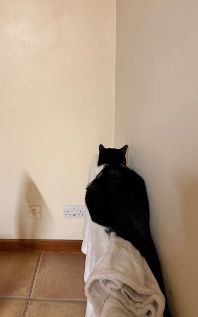 ヒーター