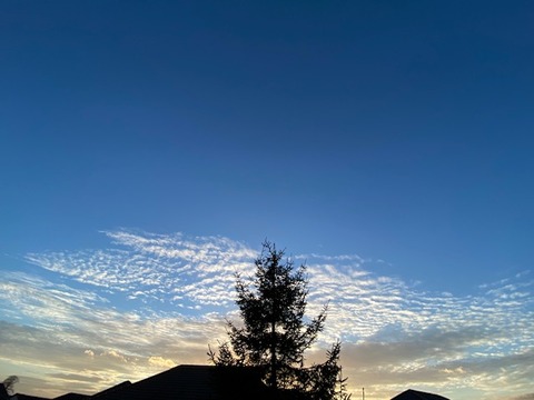 thumbnail_IMG_3908