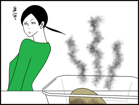 腐った洋梨見下ろすホリー