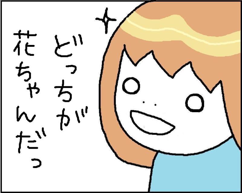 ホリー絵日記