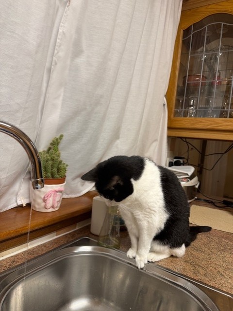 水見る２