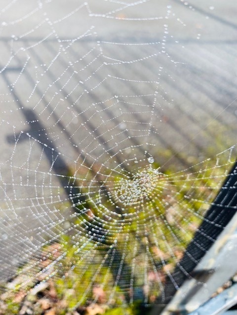 thumbnail_IMG_1640