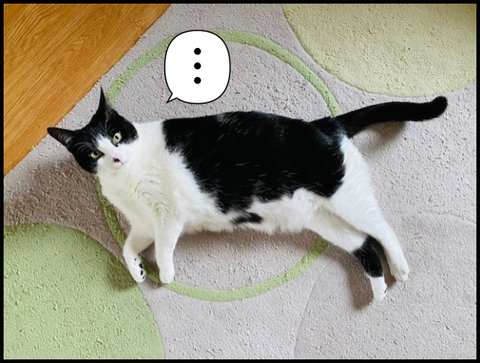 花ぽよ「え？」