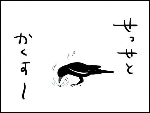 カラス