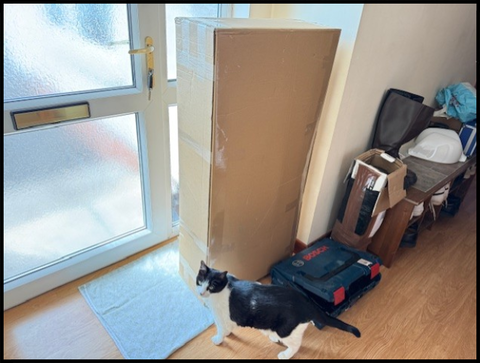 毎日届く２