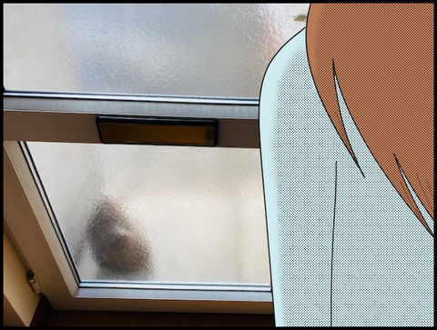 磨りガラスドアの向こう側の猫