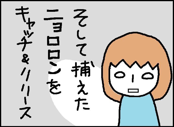 ホリー絵日記