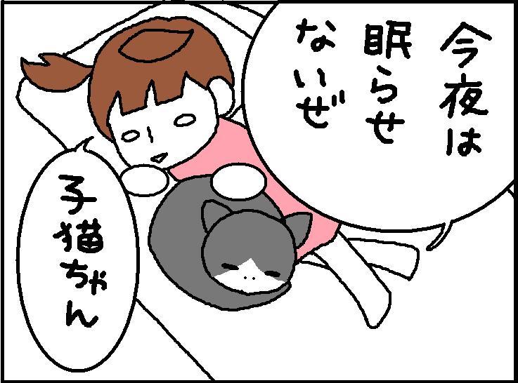 ホリー絵日記