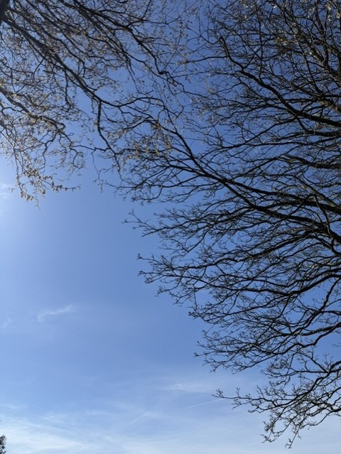 公園