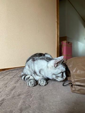 thumbnail_IMG_1303