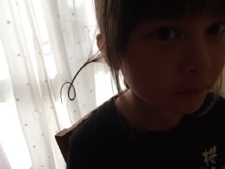 $ホリー絵日記