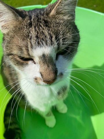 thumbnail_IMG_5275