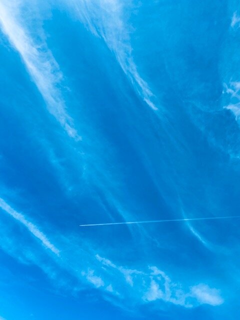 thumbnail_IMG_5508