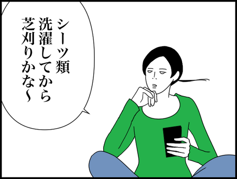 洗濯してから芝刈りかな