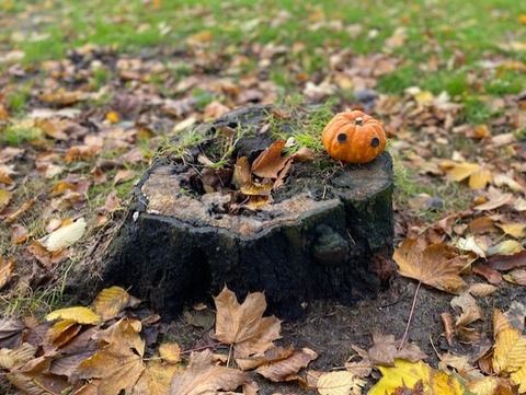 thumbnail_IMG_1210
