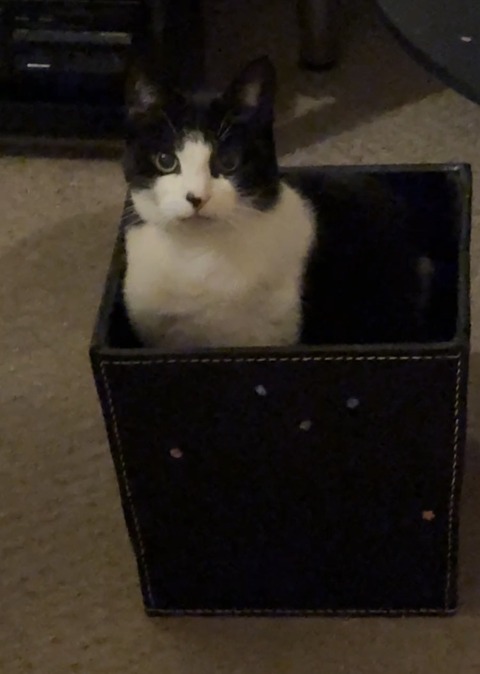 ゴミ箱