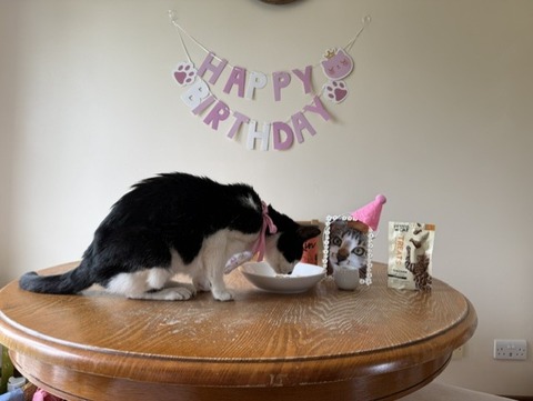 happybirthday