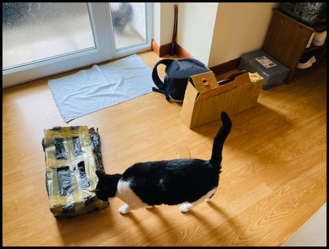 玄関に段ボール