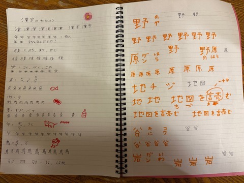 野原