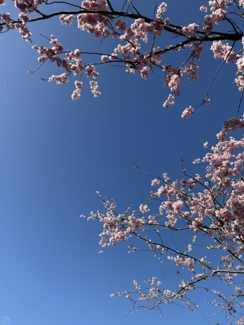 ３０日３