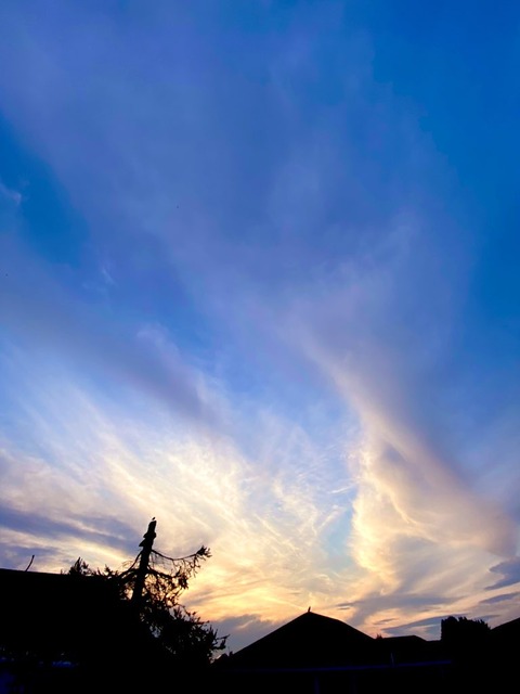 夕陽
