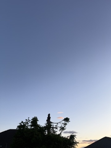 夕日