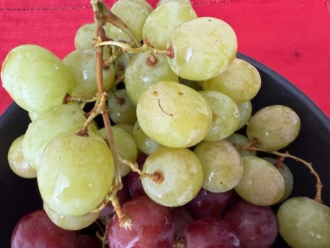 ぶどう