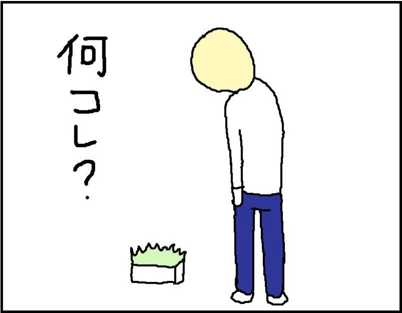 ホリー絵日記