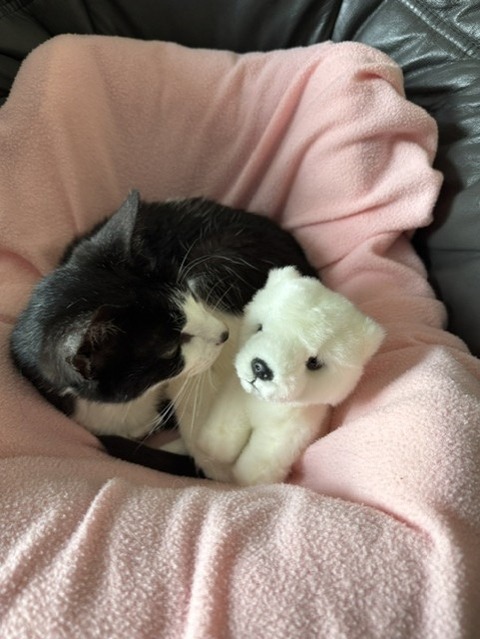にお