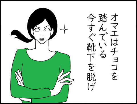 腕組ホリーさん