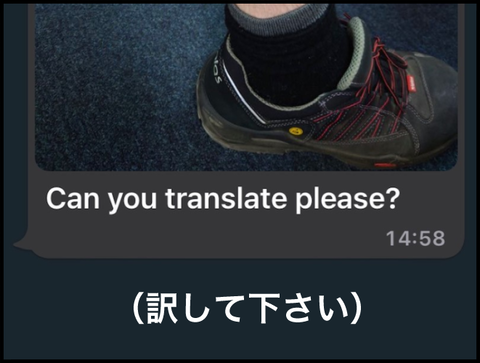 訳して下さい