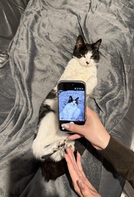花３