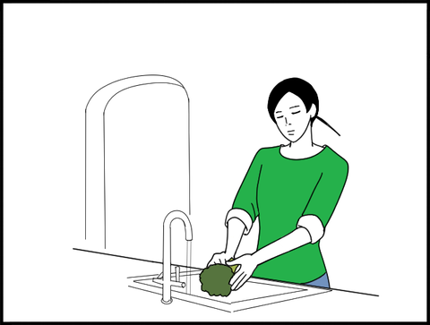 ご飯の用意ホリー