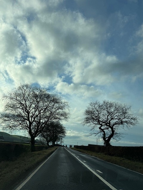 ドライブ４