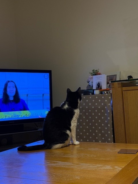 05d28ecf-b303-42a9-8b6a-5c7def900014