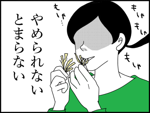 nionioho3