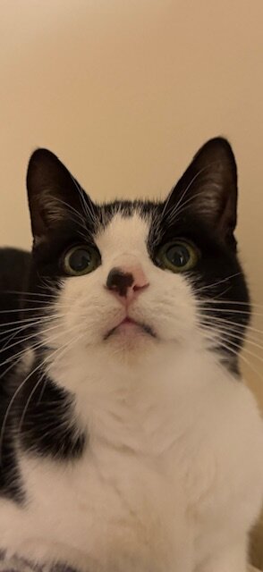 28841460-1080-4222-9dc2-4843517cc8ef