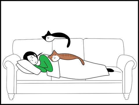 猫とソファでまったり横に