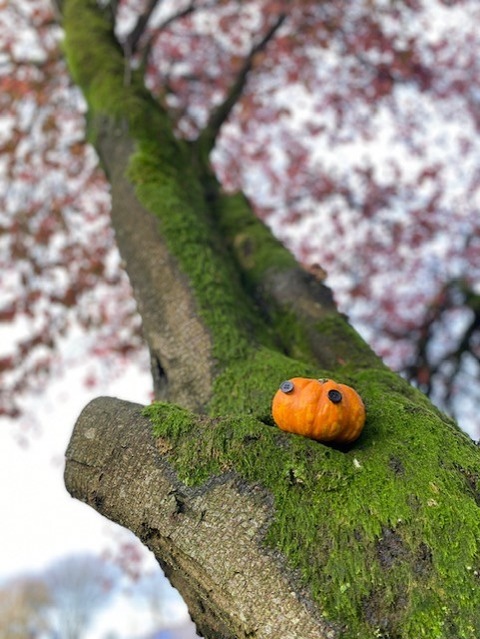 thumbnail_IMG_1199