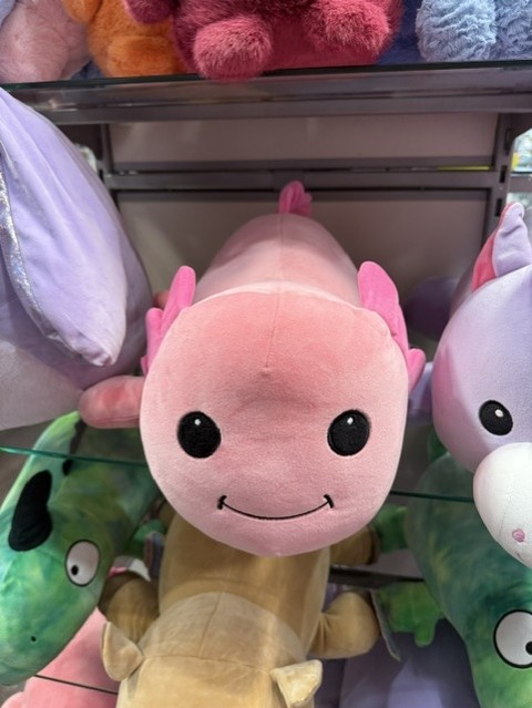 ウーパールーパー
