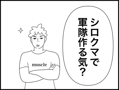 軍隊作る気？