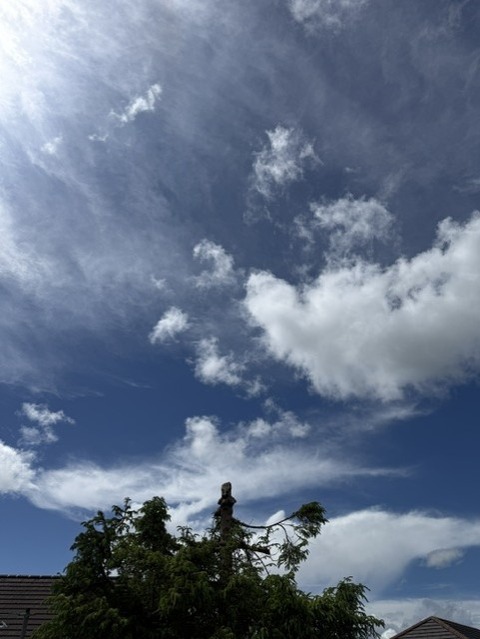 空