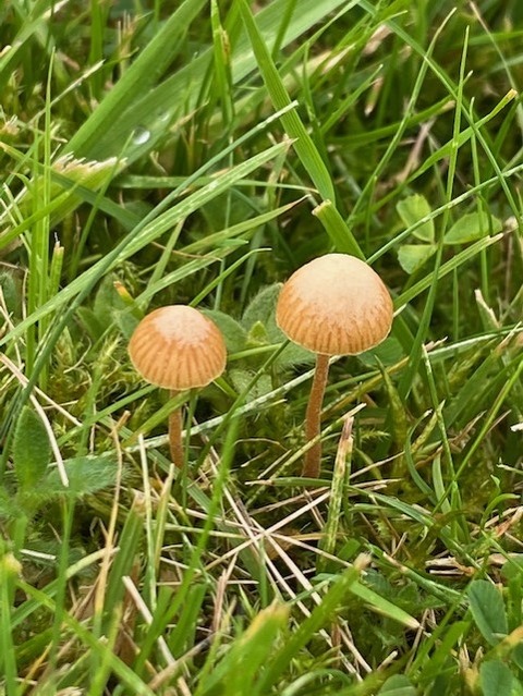 thumbnail_IMG_8065